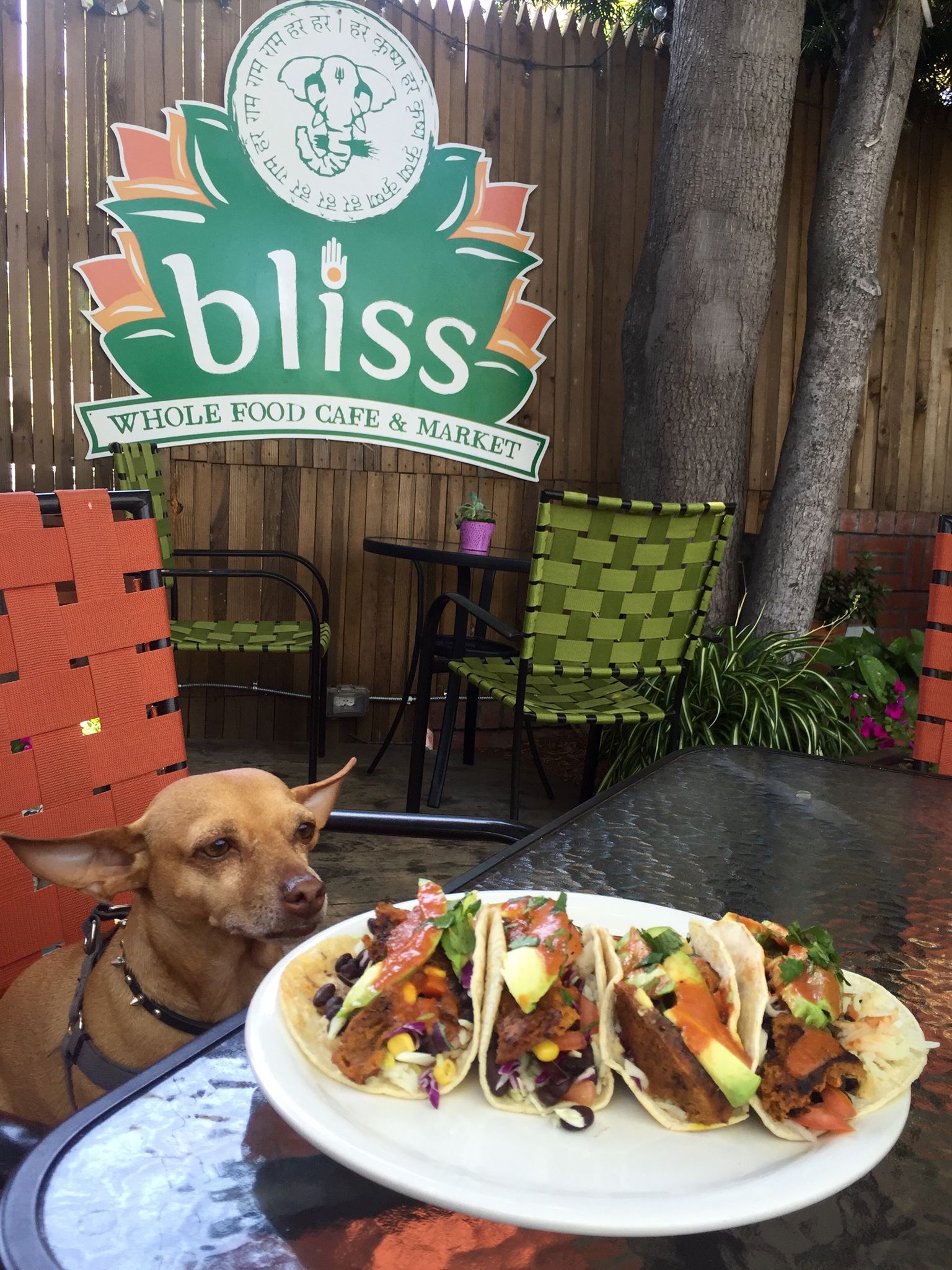 Bliss San Loius Obispo Tacos