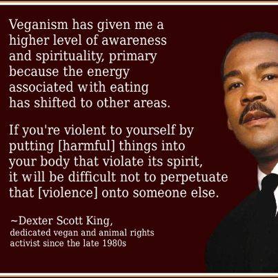 Dexter Scott King Vegan