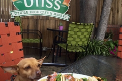 Bliss San Loius Obispo Tacos